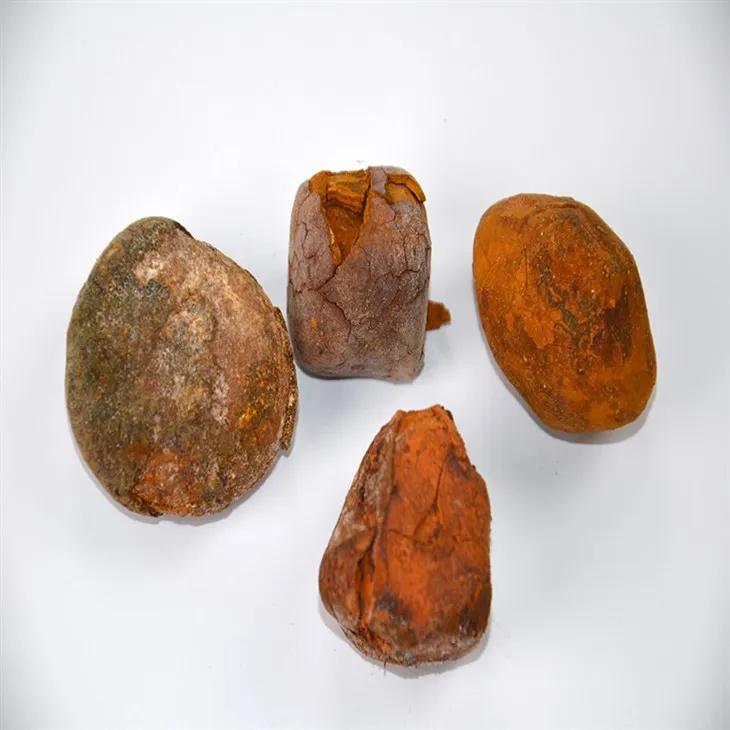 cow gallstone